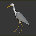 White and Grey Heron Standing with Long Yellow Beak and Yellow Legs on Reflective Surface