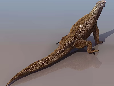 Komodo Dragon With Brown Scaly Skin And Long Tail On Sandy Ground 3d model