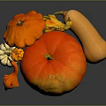 Fresh Orange Pumpkin Fruit Display With Other Gourds On Dark Background