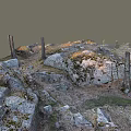 Natural Wood and Stone Scene with Dead Tree Trunks Moss Gravel and Grass