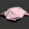Stylish Pink Hooded Jacket Featuring Color Block Design And Casual Look