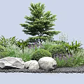 Lush Shrubs With Green Foliage Surrounded By Trees Stones And Lavender Herbs
