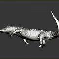 Crocodile Alligator Nile Crocodile carnivore reptile cold-blooded animal reptile 3d model