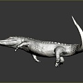 Crocodile Alligator Nile Crocodile carnivore reptile cold-blooded animal reptile reptile 3d model