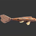 Orange And Black Spotted Koi Fish Shaped Soft Bath Toy For Children
