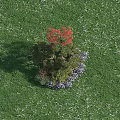 Green Lawn Garden Plant Combination With Pine Tree Red Leaf And Purple Flowers