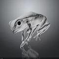 White Frog 3D Model With Black Eyes On Gray Background And Reflection 3d model