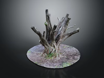 Natural Wooden Stump Decorative Art With Intricate Roots And Soil Grass Base 3d model
