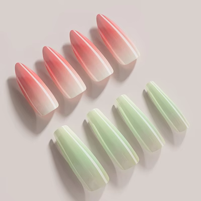 Translucent Gradient Artificial Nails In Pink Green Shades For Manicure Use 3d model