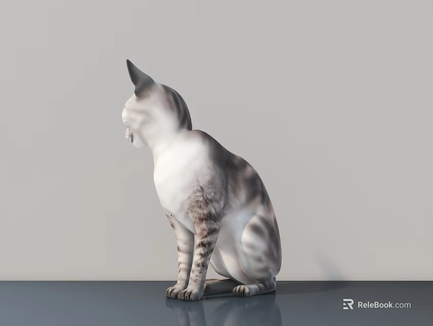 Gray and White Cat Sitting Gracefully on Smooth Surface Against Light Wall 3d model