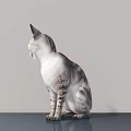 Gray and White Cat Sitting Gracefully on Smooth Surface Against Light Wall 3d model
