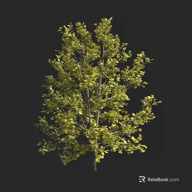 Lush Green Tree With Dense Foliage And Strong Trunk In Natural Setting 3d model