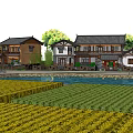 Traditional Chinese Style Houses With Trees River And Yellow Green Farmland In Rural Scene