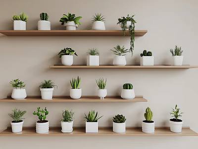 Bonsai and Potted Plants Arranged on Wooden Shelves With White Pots and Various Greenery 3d model