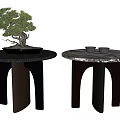 Modern Side Tables With Black And Marble Tops Bonsai Plant And Cups