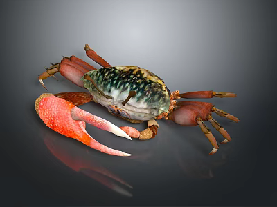 Vibrant Crab With Large Red Claws And Colorful Shell On Dark Background 3d model