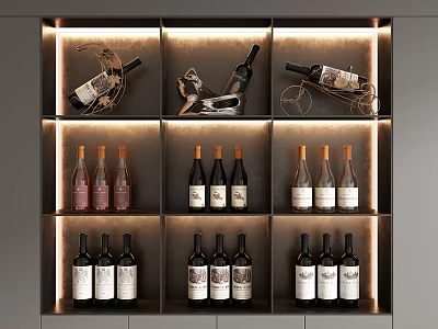 Modern wine. 3d model