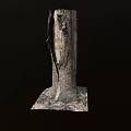 Tree Pit With Square Base And Natural Ground Cover Around Tree Trunk
