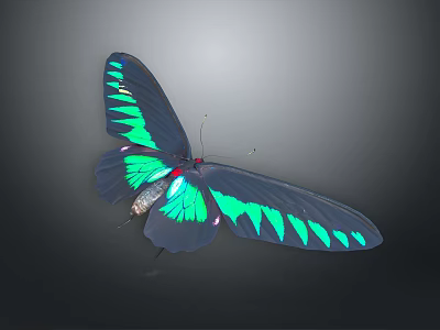 Vibrant Blue And Green Butterfly With Red Accents On Iridescent Wings 3d model
