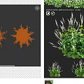 Persicaria Amplexicaulis Alba Garden Plant with Green Leaves and White Spikes for Decorative Landscaping Accents