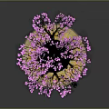 Bonsai Tree With Pink Blossoms And Green Grass In Decorative Yellow Blue Pot