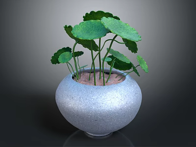 Green Leafy Plant with Long Stems in Gray Ceramic Pot for Home Decor 3d model
