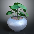 Green Leafy Plant with Long Stems in Gray Ceramic Pot for Home Decor