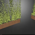 Vertical Green Plant Walls Growing On Metal Mesh With Wooden Planter Bases