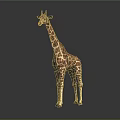 Giraffe With Long Neck And Spotted Coat Standing Against Dark Background With Reflection 3d model