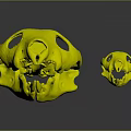 White Animal Skulls Large And Small Displayed On Dark Reflective Background 3d model