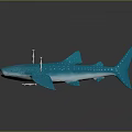 Majestic Whale Shark Aquatic Animal With Blue Body White Spots And Green Teeth