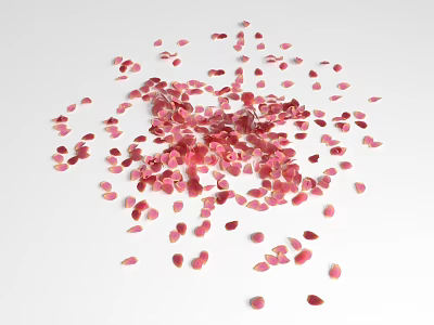 Beautiful Pink Petals Ground Cover Scattered On White Background Surface 3d model