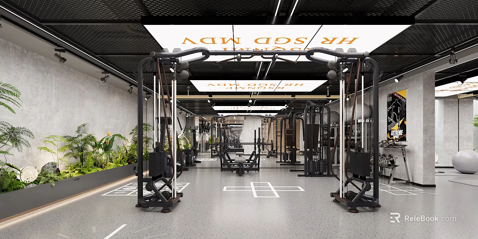 Spacious Modern Gym Interior Design With Professional Fitness Training Equipment And Natural Green Decorations 3d model 