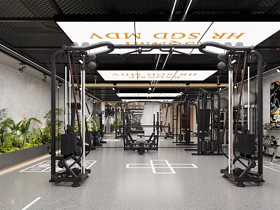 Spacious Modern Gym Interior Design With Professional Fitness Training Equipment And Natural Green Decorations 3d model