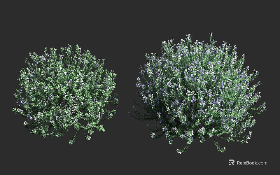 Green Garden Shrubs with Lush Foliage and White Purple Flowers 3d model 
