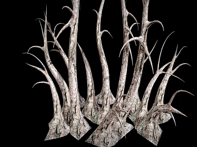 Dried Spiky Plant Branches With Textured Twisted Stems On Black Background 3d model