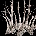 Dried Spiky Plant Branches With Textured Twisted Stems On Black Background