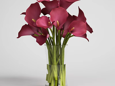 Purple Calla Lilies Arrangement in Clear Glass Vase with Green Stems on Light Background 3d model