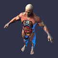 Game and Movie Character 3D Rendered Model with Human Anatomy Muscle and Internal Organ Details