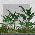 Vibrant Flowers And Lush Green Plants With Large Leaves Against Gray Grid Background