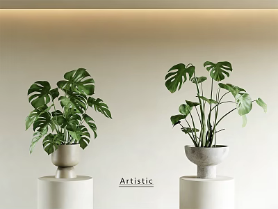 Artistic Potted Plants With Monstera Leaves On White Pedestals Against Light Wall 3d model