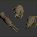 Three Textured Cat Sculptures In Different Postures On Dark Surface 3d model