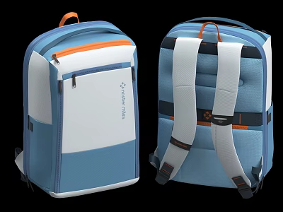 School bag business backpack computer bag camera bag 3d model