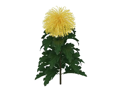 Decorative Bonsai Plant With Yellow Chrysanthemum And Green Leaves 3d model
