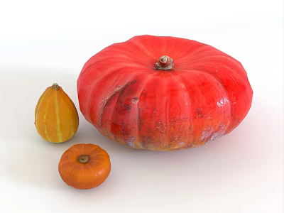 Fresh Colorful Vegetables Including Red Pumpkin and Small Yellow and Orange Squashes on White Background 3d model