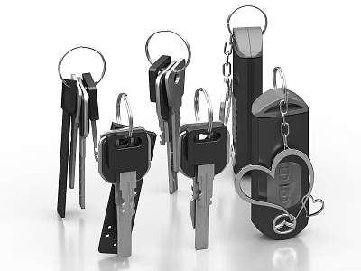 Keychain Ornament Set With Metal Keys Decorative Key Rings And Various Designs 3d model