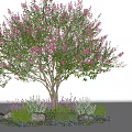 Garden Landscape Design With Pink Flowering Tree Stones And Green Herbs