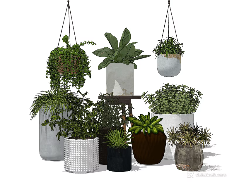 Bonsai and Potted Plants Assortment with Hanging Ceramic Pots for Indoor Decor 3d model 