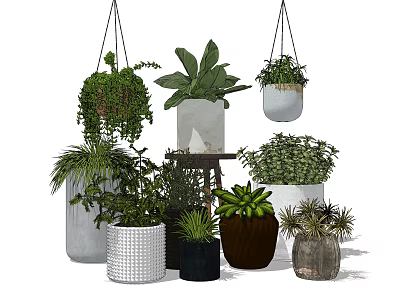 Bonsai and Potted Plants Assortment with Hanging Ceramic Pots for Indoor Decor 3d model