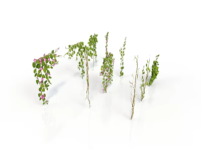 Various Green Plants With Leafy Vines And Branches For Indoor Decoration 3d model